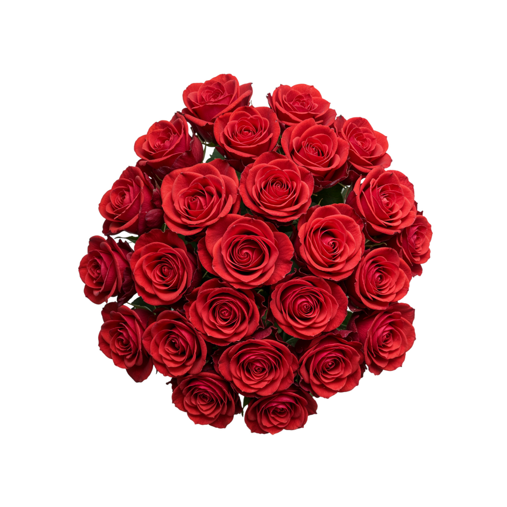 Long Stem Red Roses