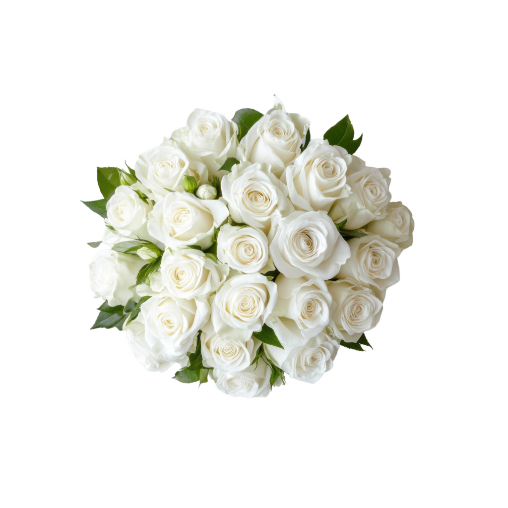 Long Stem White Roses