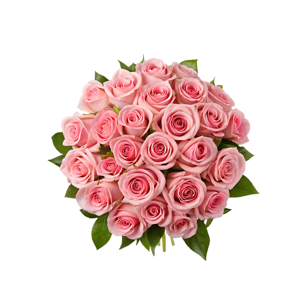 Long Stem Pink Roses