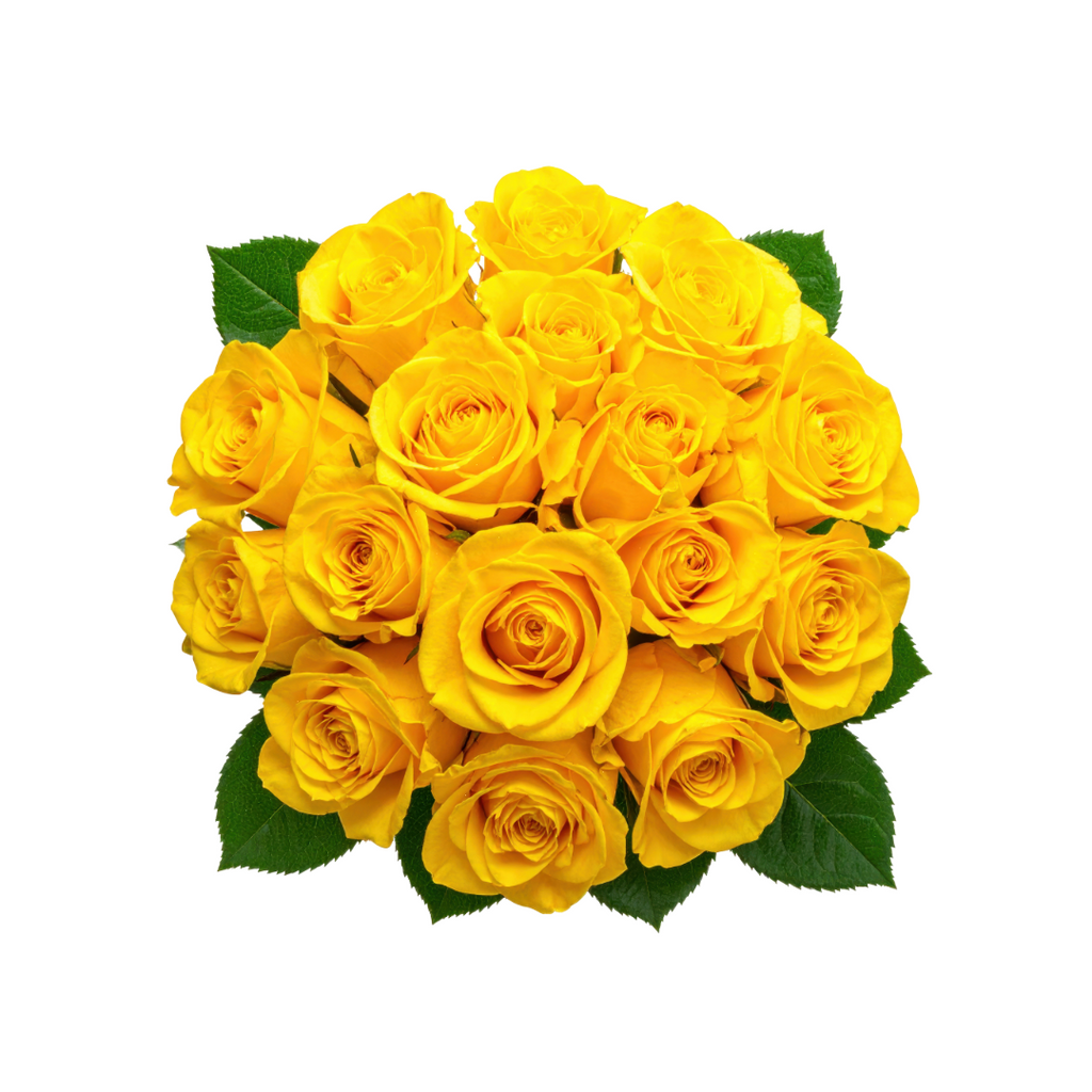 Long Stem Yellow Roses