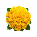 Long Stem Yellow Roses