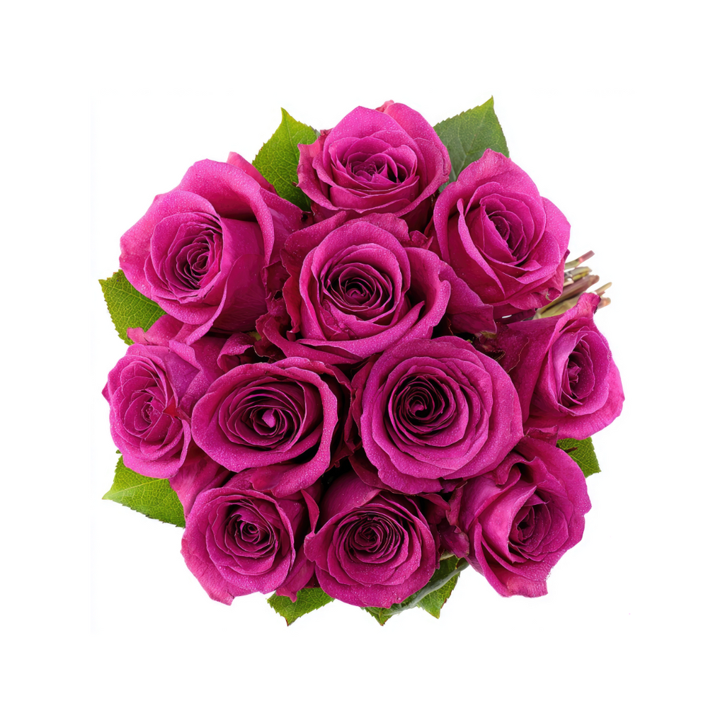 Long Stem Hot Pink Roses