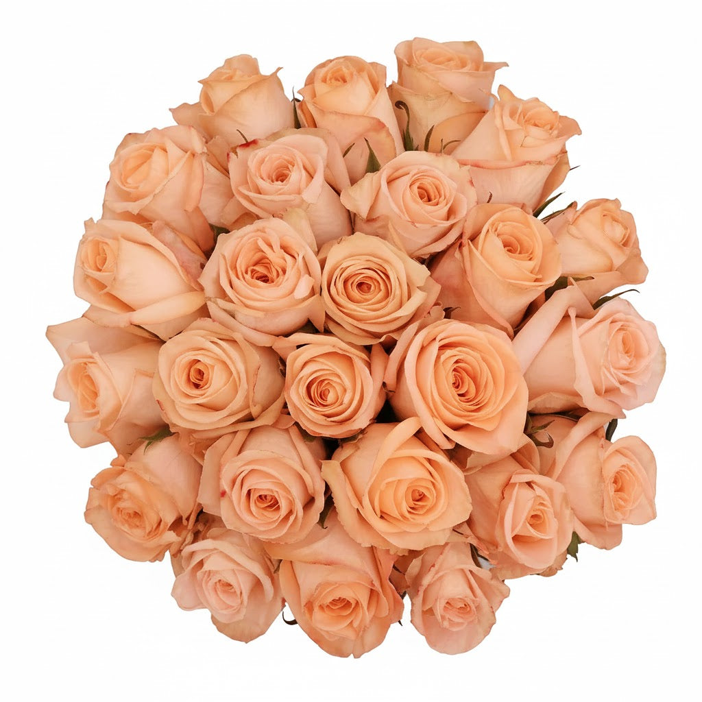 Long Stem Peach Roses