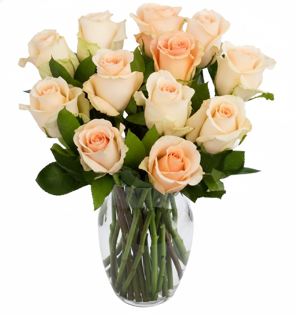 Long Stem Peach Roses