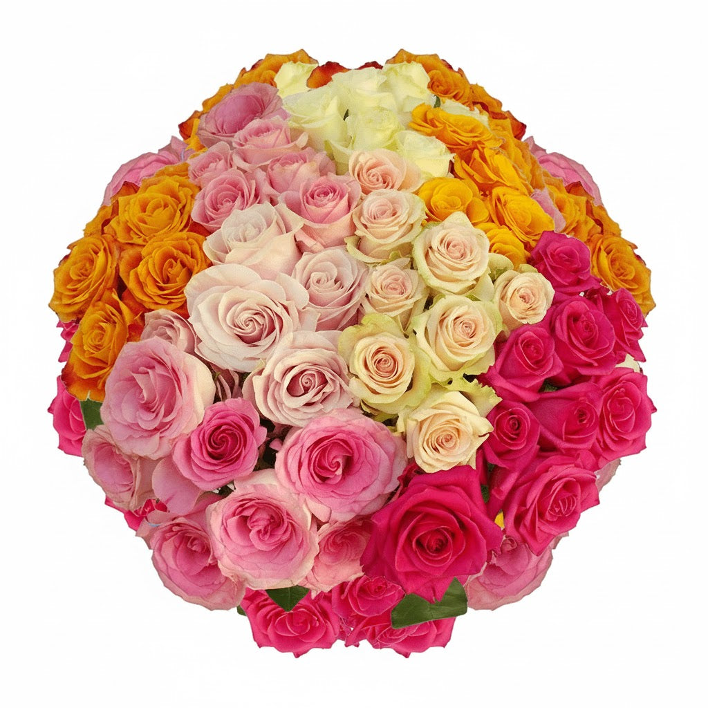 Long Stem Assorted Roses