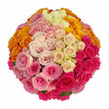Long Stem Assorted Roses