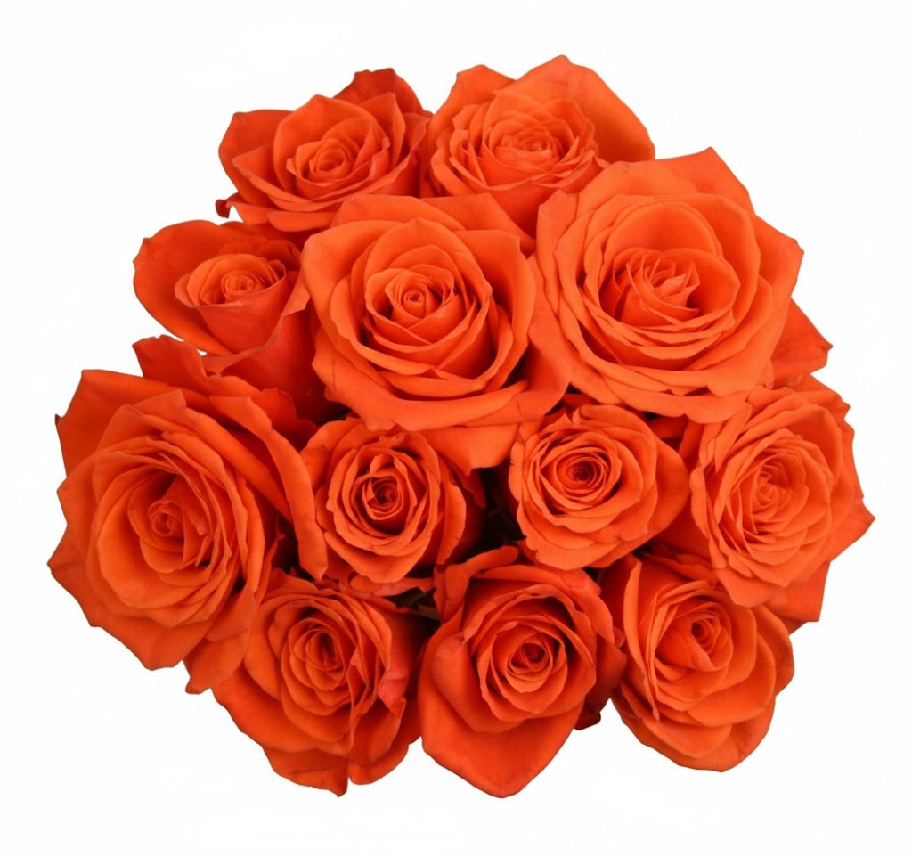 Long Stem Orange Roses
