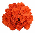 Long Stem Orange Roses